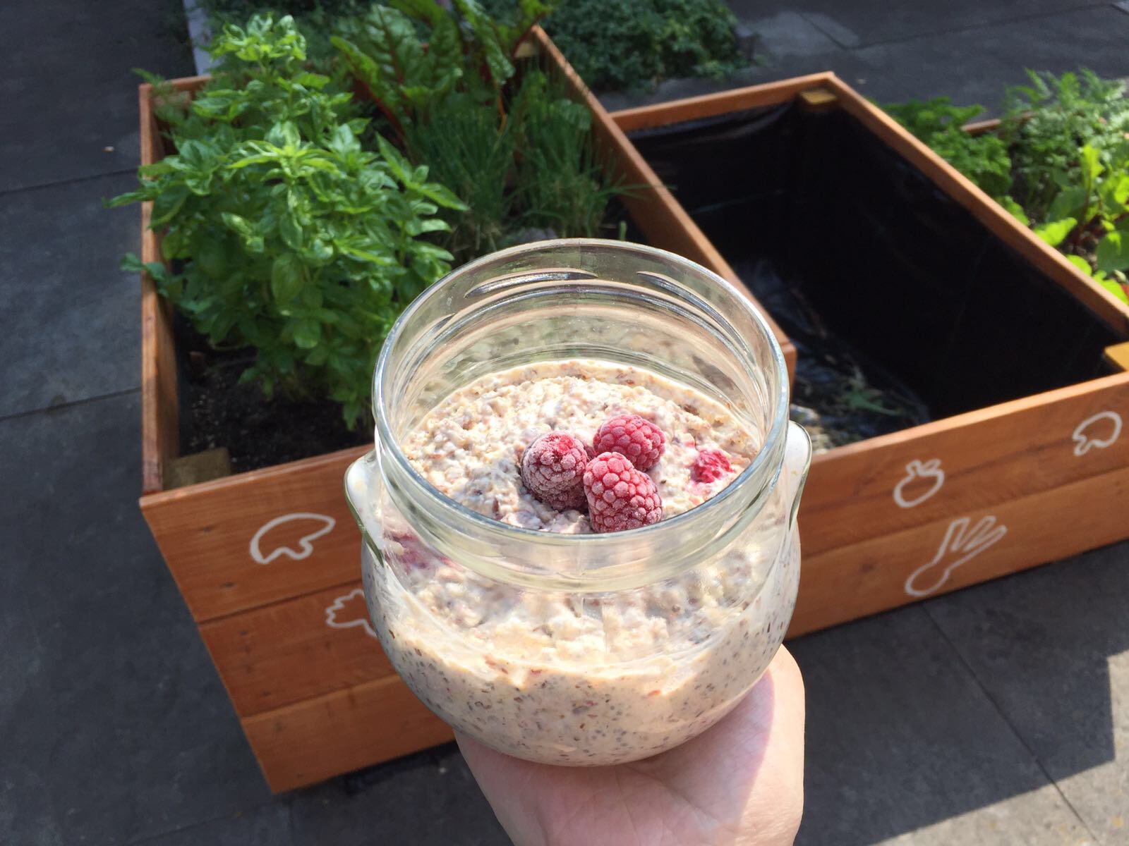 Overnight oats the body practice