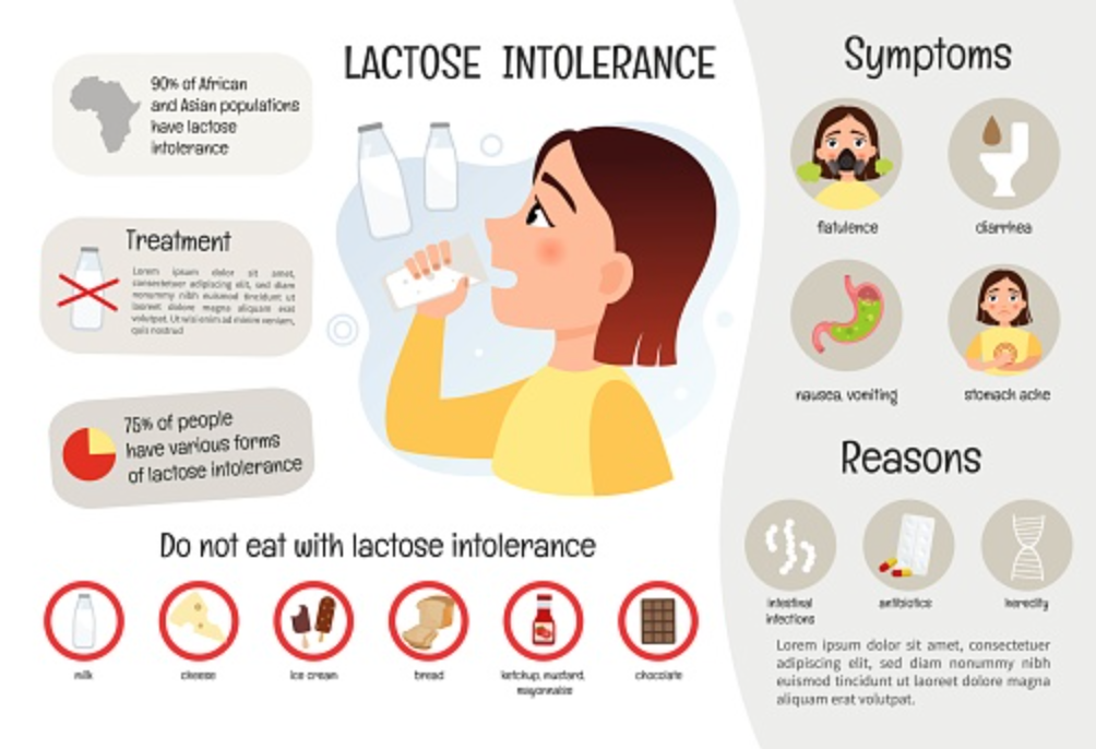 is lactose gezond?